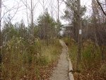 Bruce Trail, poblíž rostou jablka.