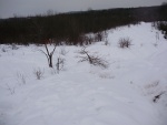 Zasněžené boule kolem Forks of the Credit