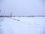 Jezero Bemidzi, pohled k městu.