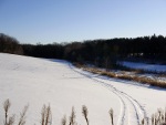 Kousek divočiny u Prior Lake