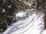 Mnou prošlápnutá Bruce Trail.