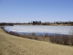 Guelph Lake bylo zamrzlé, jako ostatně všechna menší jezera v okolí, ale kolem žádný sníh jenom bahno. Radši jsme se prošly po hrázi, protože jinde bychom zapadly a už se nevykopaly.
