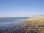 Na severní straně jsou zatopené oblasti s rákosem. Díky svým krásným novým pětiprstým botům (díky Dobruš, jsou dokonalé!) jsem si klidně zabrodila.