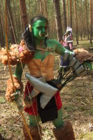 Azeroth 2008, orčice